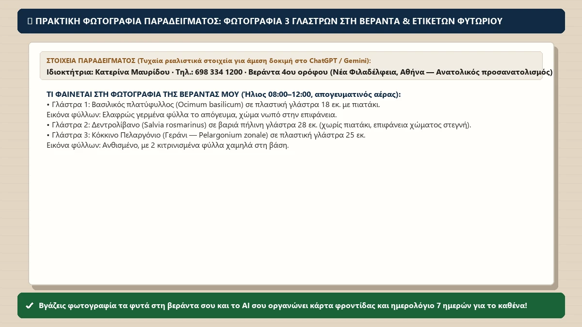 Πρακτική φωτογραφία παραδείγματος για το μάθημα «Φροντίζω τα φυτά της βεράντας μου»